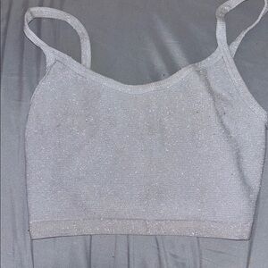 Sparkly Silver Crop Top